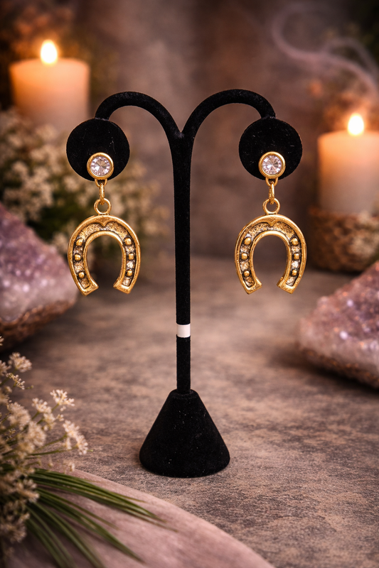horseshoe earrings